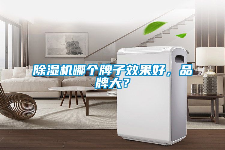 除濕機哪個牌子效果好，品牌大？