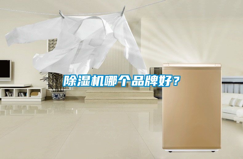 除濕機哪個品牌好？