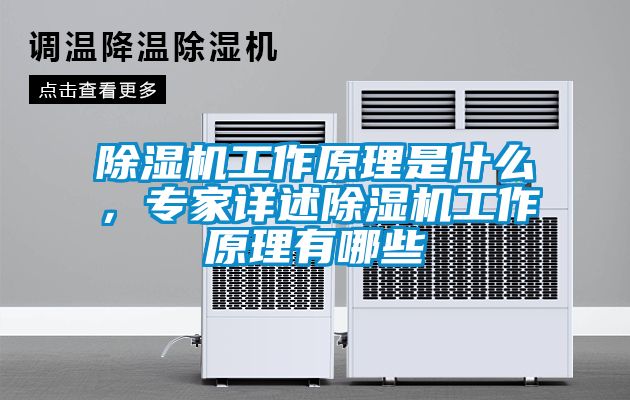 除濕機工作原理是什么，專家詳述除濕機工作原理有哪些