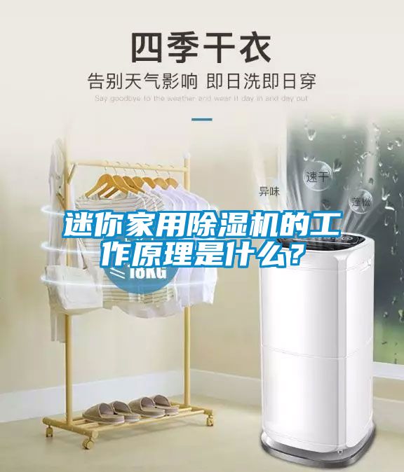 迷你家用除濕機的工作原理是什么？