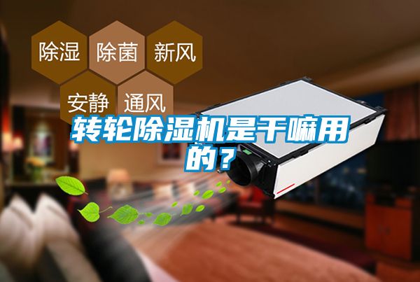 轉輪除濕機是干嘛用的？