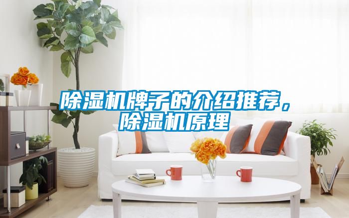 除濕機牌子的介紹推薦，除濕機原理