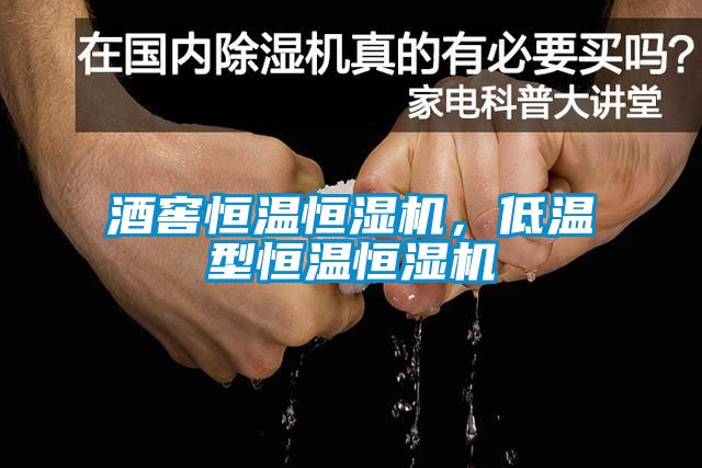 酒窖恒溫恒濕機，低溫型恒溫恒濕機