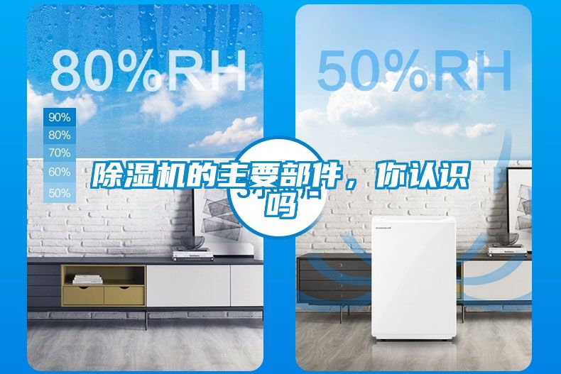 除濕機的主要部件，你認識嗎