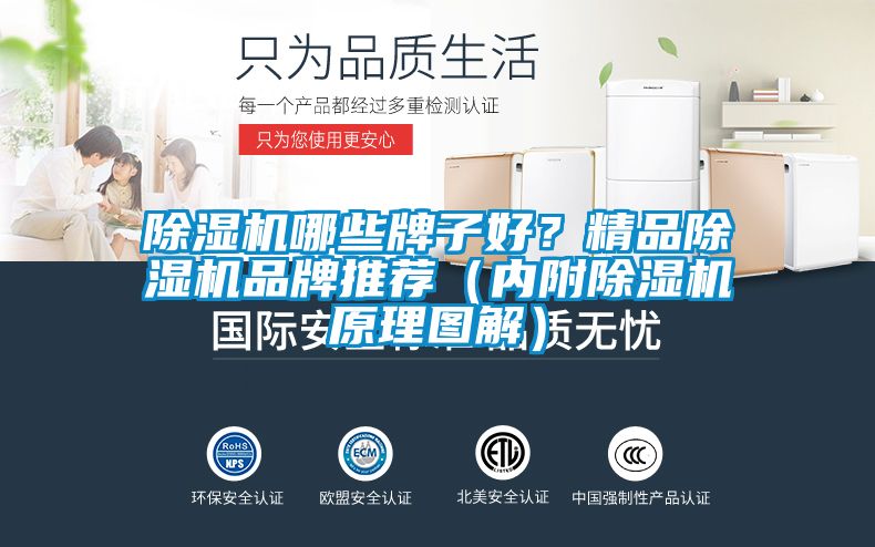 除濕機哪些牌子好？精品除濕機品牌推薦（內附除濕機原理圖解）