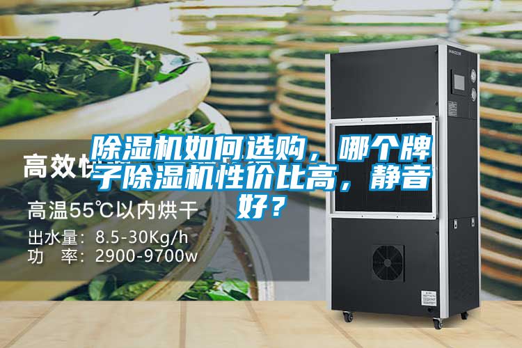 除濕機如何選購，哪個牌子除濕機性價比高，靜音好？