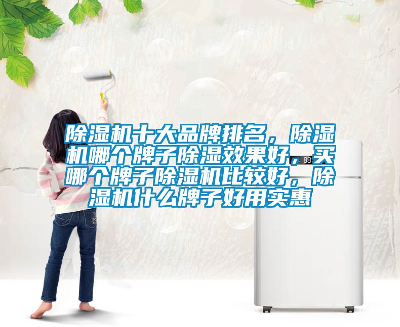 除濕機十大品牌排名，除濕機哪個牌子除濕效果好，買哪個牌子除濕機比較好，除濕機什么牌子好用實惠