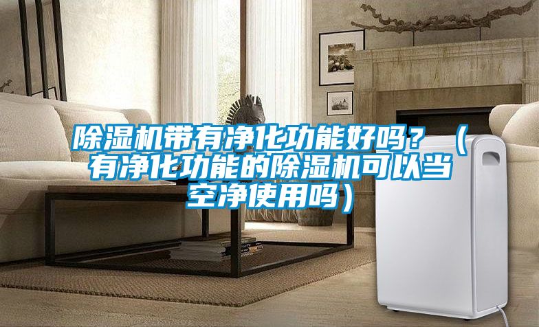 除濕機帶有凈化功能好嗎？（有凈化功能的除濕機可以當空凈使用嗎）