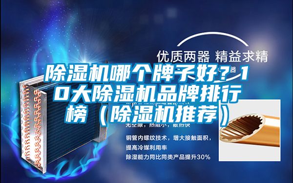 除濕機哪個牌子好？10大除濕機品牌排行榜（除濕機推薦）