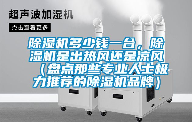 除濕機多少錢一臺，除濕機是出熱風還是涼風（盤點那些專業人士極力推薦的除濕機品牌）