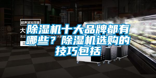 除濕機十大品牌都有哪些？除濕機選購的技巧包括