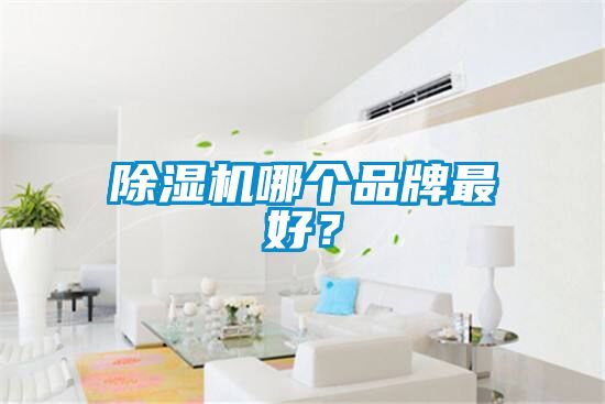 除濕機哪個品牌最好？