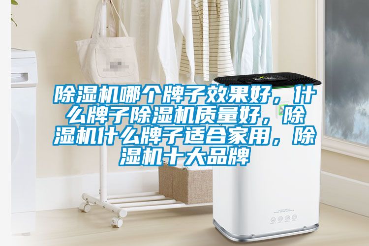 除濕機哪個牌子效果好，什么牌子除濕機質量好，除濕機什么牌子適合家用，除濕機十大品牌
