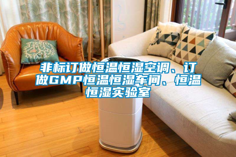 非標訂做恒溫恒濕空調、訂做GMP恒溫恒濕車間、恒溫恒濕實驗室