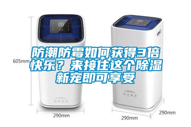 防潮防霉如何獲得3倍快樂？來接住這個除濕新寵即可享受