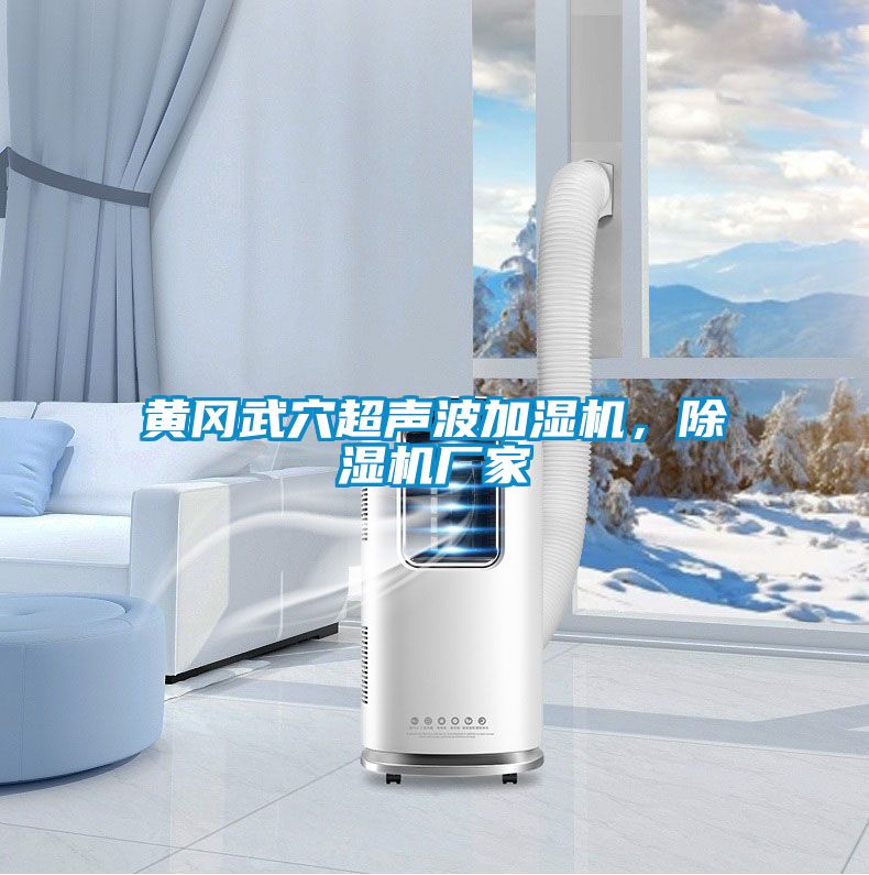 黃岡武穴超聲波加濕機，除濕機廠家