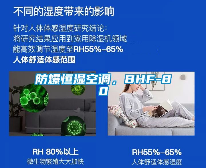 防爆恒濕空調，BHF-80