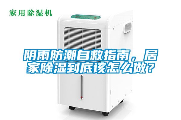 陰雨防潮自救指南，居家除濕到底該怎么做？