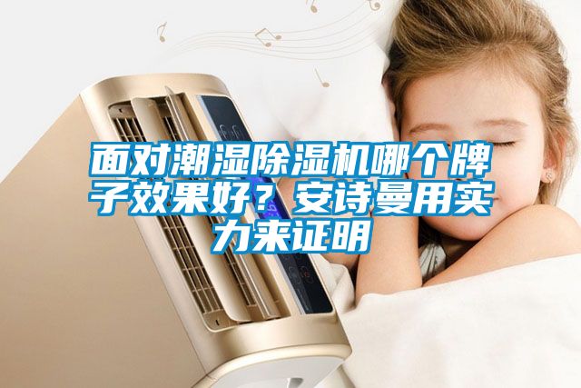 面對潮濕除濕機哪個牌子效果好？安詩曼用實力來證明