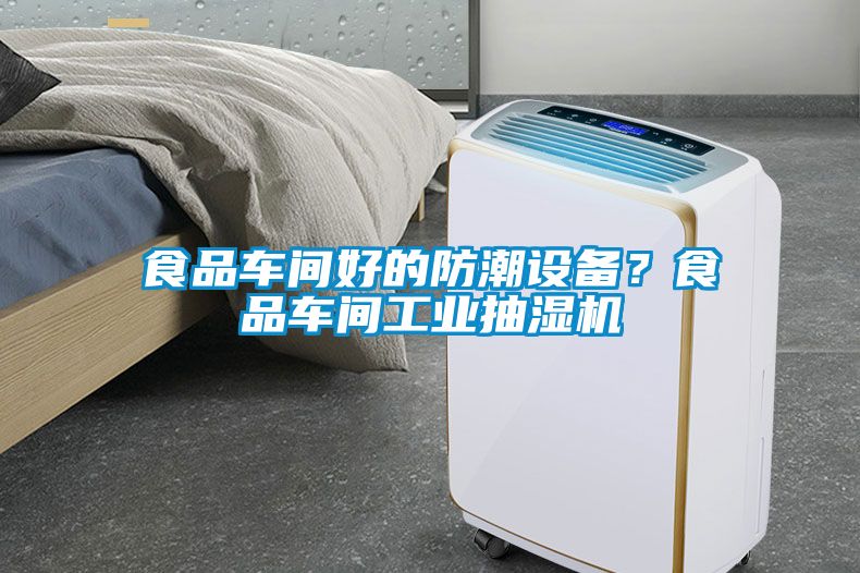 食品車間好的防潮設備？食品車間工業抽濕機