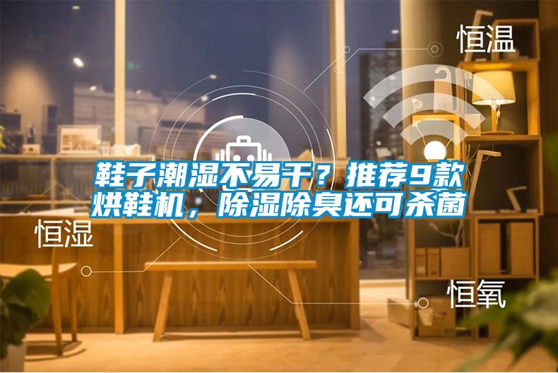 鞋子潮濕不易干？推薦9款烘鞋機，除濕除臭還可殺菌