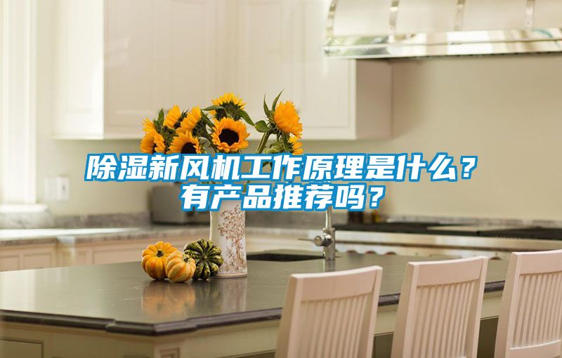 除濕新風機工作原理是什么？有產品推薦嗎？