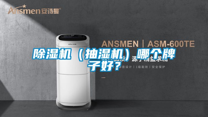 除濕機（抽濕機）哪個牌子好？