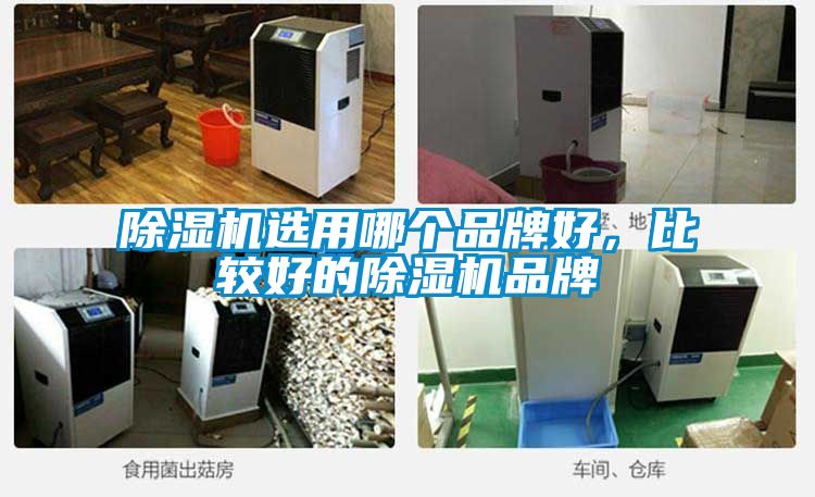 除濕機選用哪個品牌好，比較好的除濕機品牌