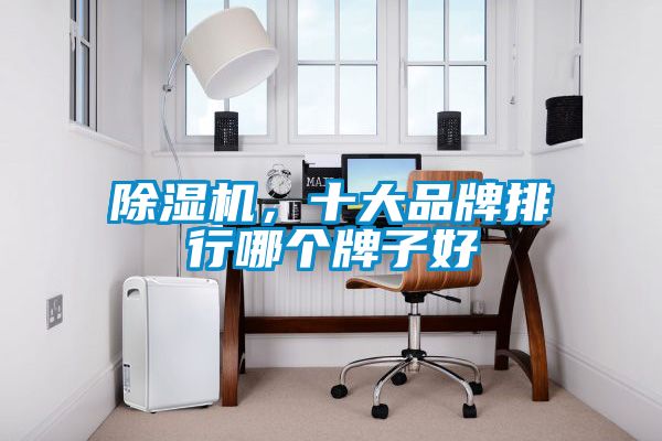 除濕機，十大品牌排行哪個牌子好