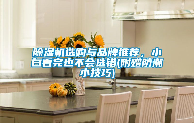 除濕機選購與品牌推薦，小白看完也不會選錯(附贈防潮小技巧)