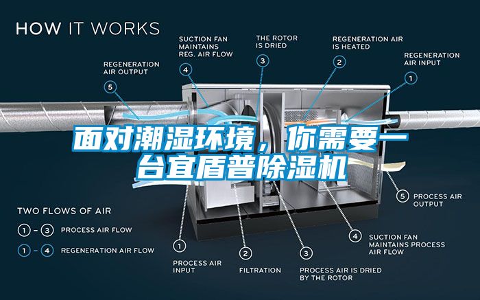面對潮濕環境，你需要一臺宜盾普除濕機
