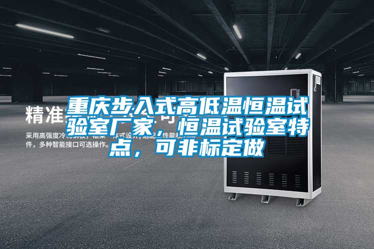 重慶步入式高低溫恒溫試驗室廠家，恒溫試驗室特點，可非標定做