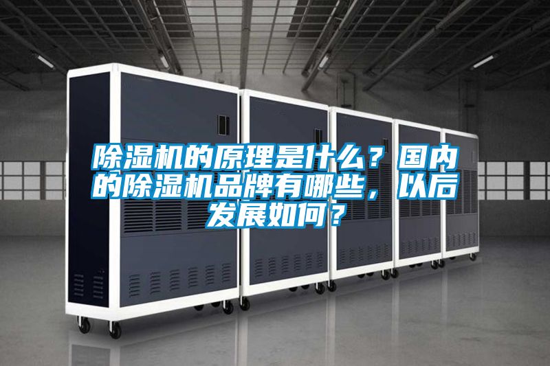 除濕機的原理是什么？國內的除濕機品牌有哪些，以后發展如何？