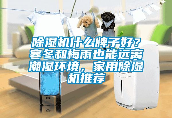 除濕機什么牌子好？寒冬和梅雨也能遠離潮濕環境，家用除濕機推薦