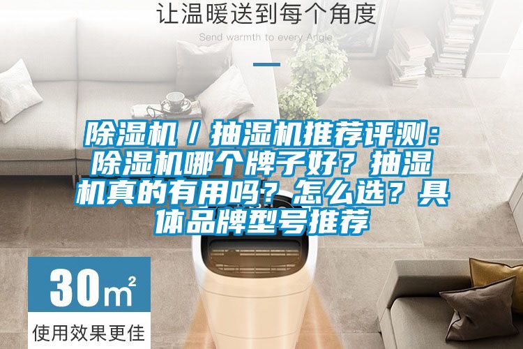除濕機／抽濕機推薦評測：除濕機哪個牌子好？抽濕機真的有用嗎？怎么選？具體品牌型號推薦