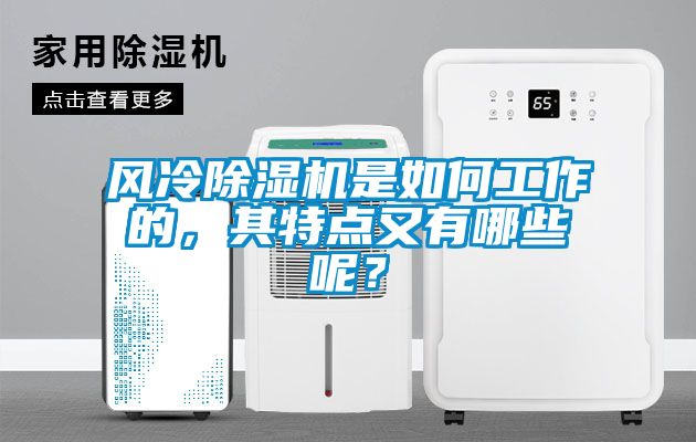 風冷除濕機是如何工作的，其特點又有哪些呢？
