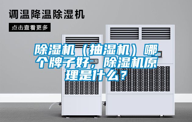 除濕機（抽濕機）哪個牌子好，除濕機原理是什么？