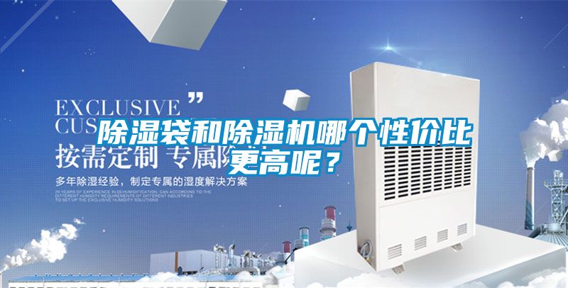 除濕袋和除濕機哪個性價比更高呢？