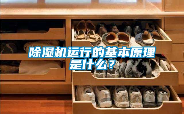 除濕機運行的基本原理是什么？