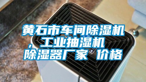 黃石市車間除濕機，工業抽濕機  除濕器廠家 價格