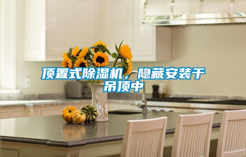 頂置式除濕機，隱藏安裝于吊頂中