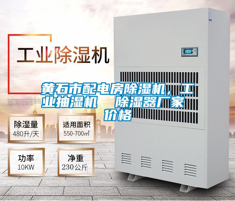 黃石市配電房除濕機，工業抽濕機  除濕器廠家 價格