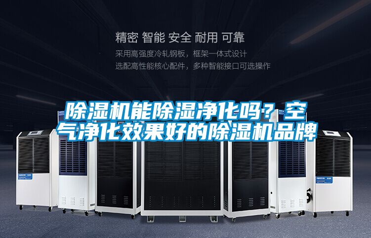 除濕機能除濕凈化嗎？空氣凈化效果好的除濕機品牌