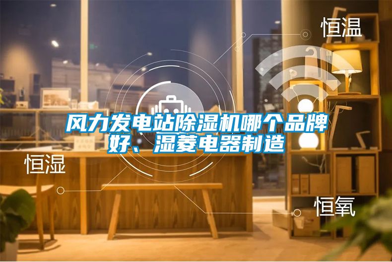 風力發電站除濕機哪個品牌好、濕菱電器制造