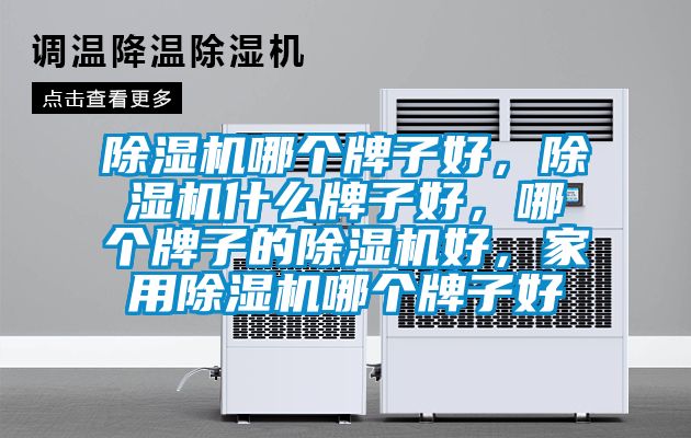 除濕機哪個牌子好，除濕機什么牌子好，哪個牌子的除濕機好，家用除濕機哪個牌子好