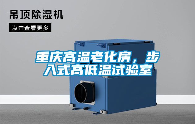 重慶高溫老化房，步入式高低溫試驗室