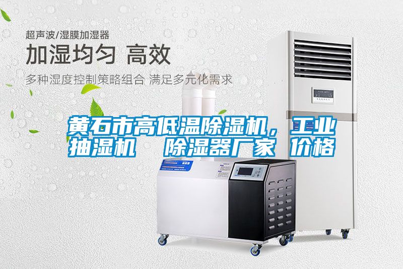 黃石市高低溫除濕機，工業抽濕機  除濕器廠家 價格
