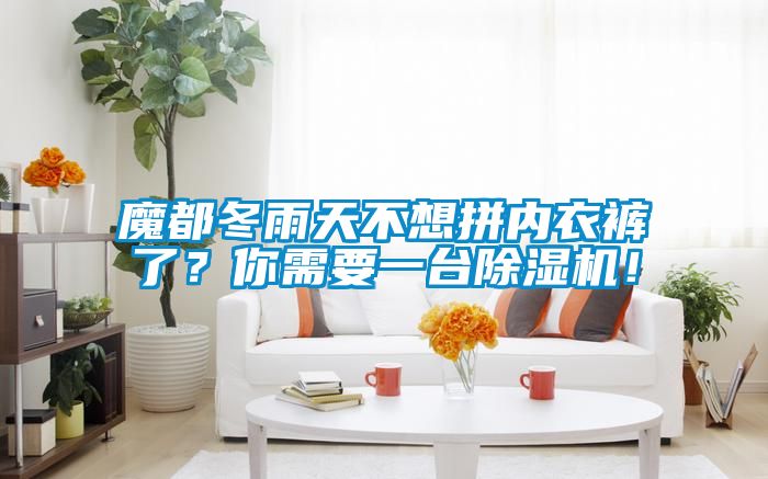 魔都冬雨天不想拼內衣褲了？你需要一臺除濕機！