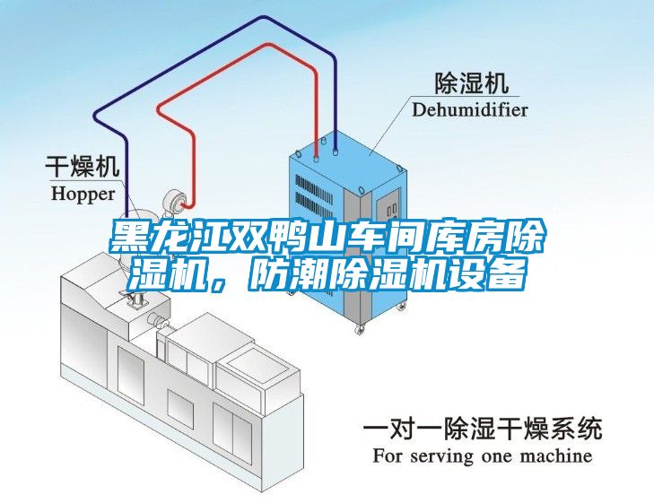 黑龍江雙鴨山車間庫房除濕機，防潮除濕機設備