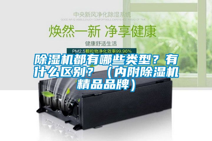 除濕機都有哪些類型？有什么區別？（內附除濕機精品品牌）